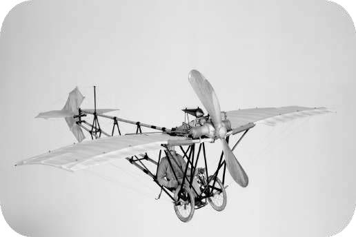 Modélisation de la Demoiselle